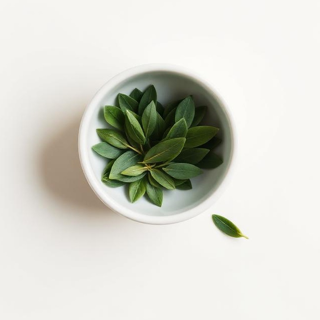 Olive Leaf